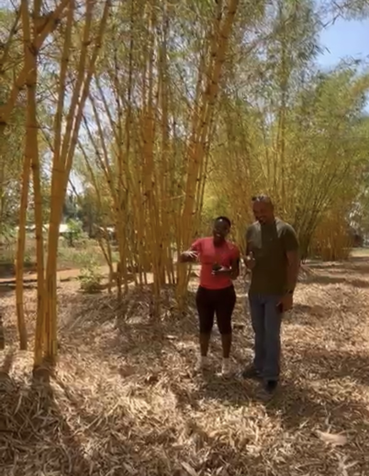 EcoGreen — two people standing in a stand of bamboo in Busia
